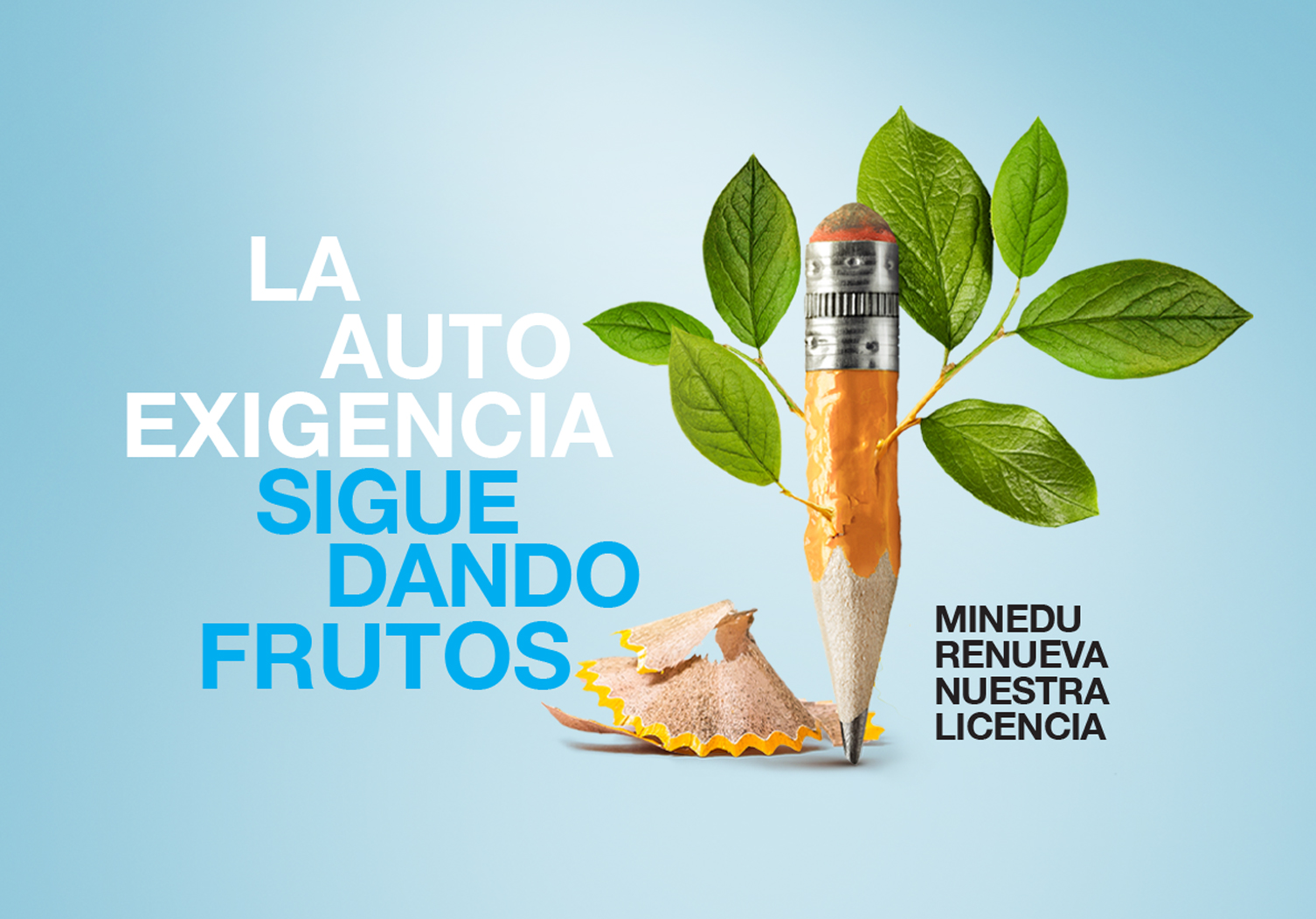 IPAD – Instituto Peruano de Arte y Diseño